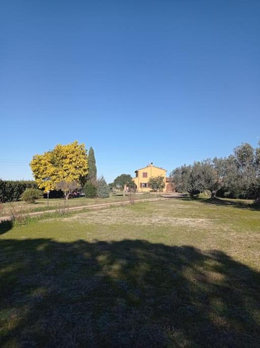 La Casina Di Campagna Tra Cecina E Bibbona Villa Екстериор снимка