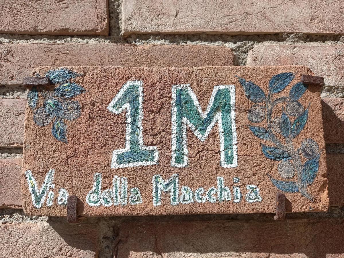 La Casina Di Campagna Tra Cecina E Bibbona Villa Екстериор снимка