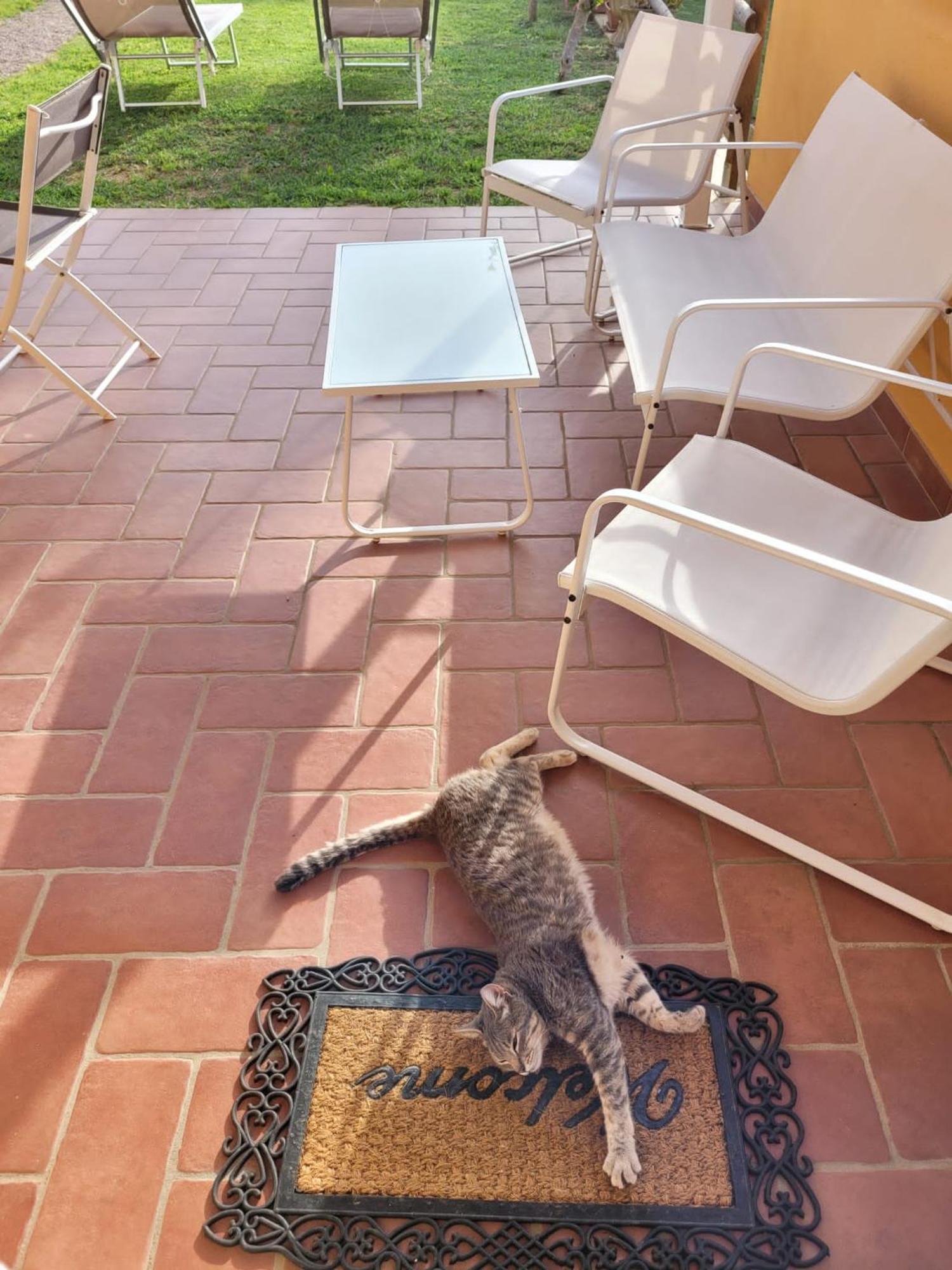 La Casina Di Campagna Tra Cecina E Bibbona Villa Екстериор снимка